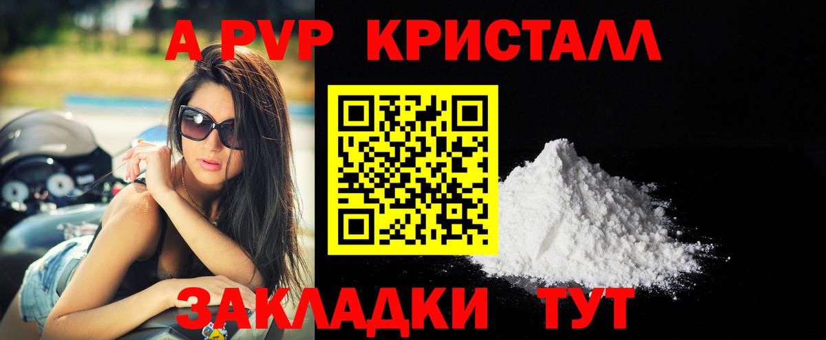 A-PVP СК КРИС Назрань