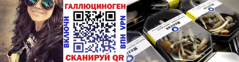 мега ССЫЛКА  цены наркотик  Назрань  Псилоцибиновые грибы Psilocybe 
