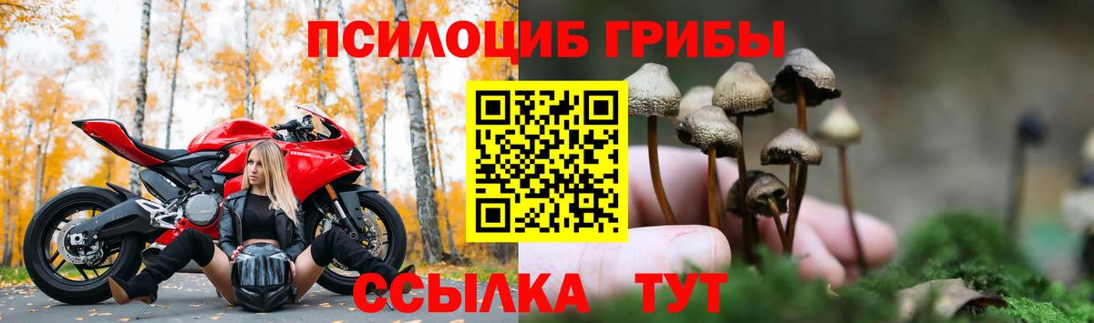 Галлюциногенные грибы мицелий  Вход с VPN  Галлюциногенные грибы Psilocybine cubensis  Назрань 